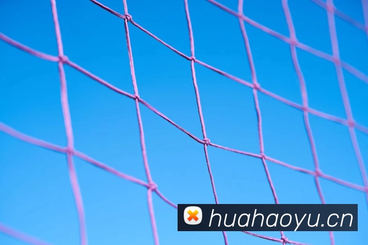 欧宝官方版网站 - 欧宝online(中国)发展历程